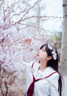 ang动漫_DVD全集免费播放